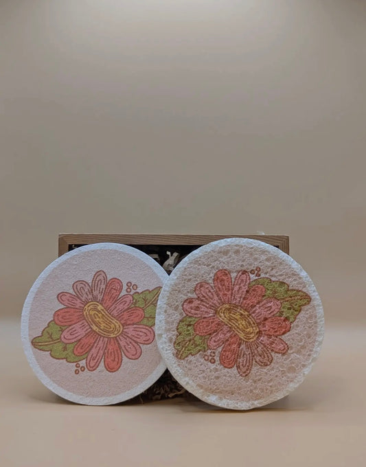 Pop-up Eco Sponges