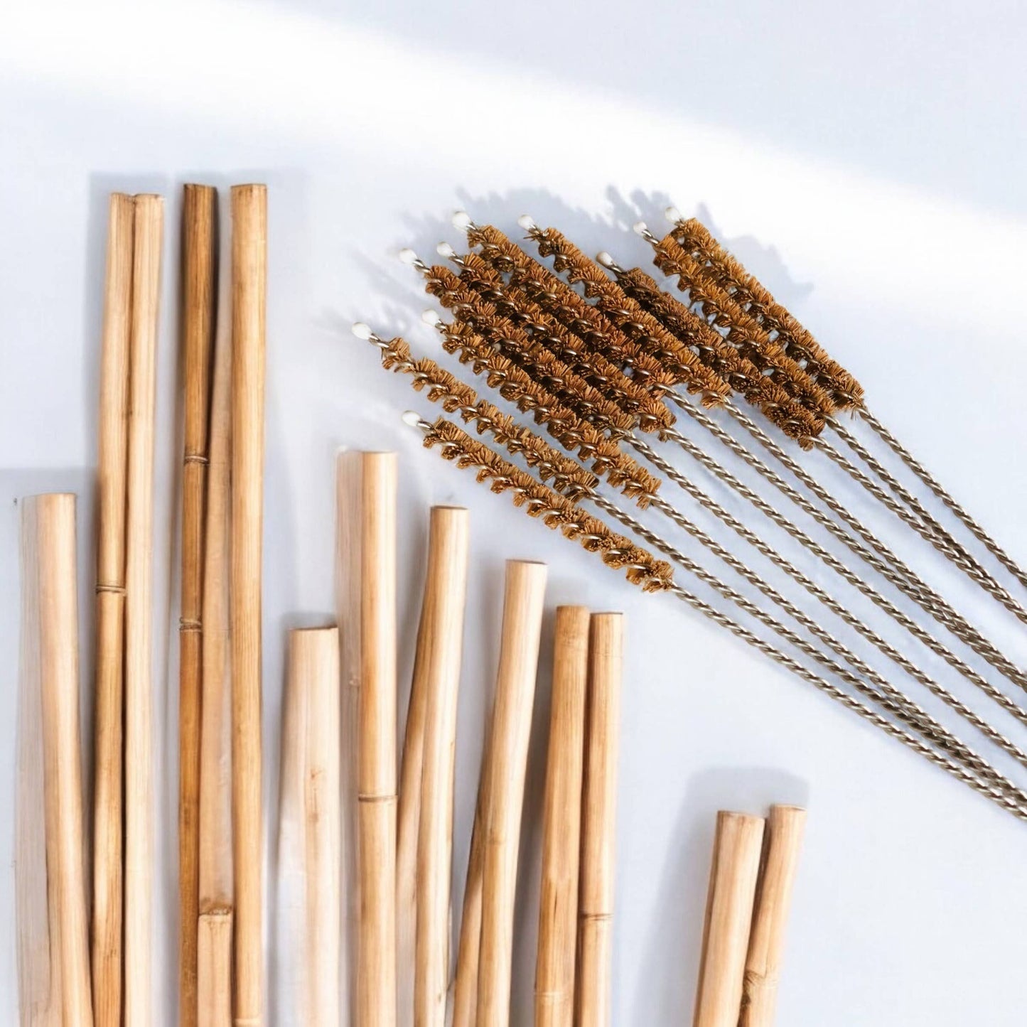 10 Pack - Coconut Fiber Plastic Free Straw Cleaner