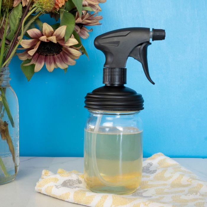 reCAP® Mason Jar Sprayer | Regular Mouth